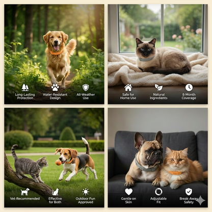 MeowBow Protect+™ Flea & Tick Defense Collar for Dogs