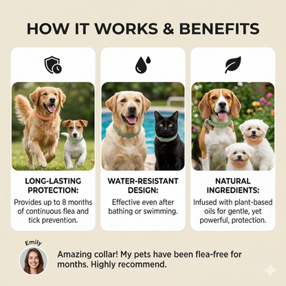 MeowBow Protect+™ Flea & Tick Defense Collar for Dogs