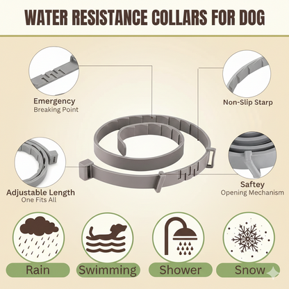 MeowBow Protect+™ Flea & Tick Defense Collar for Dogs