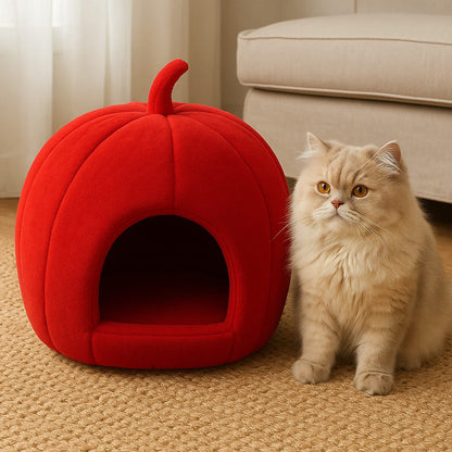 Pumpkin Pet Bed